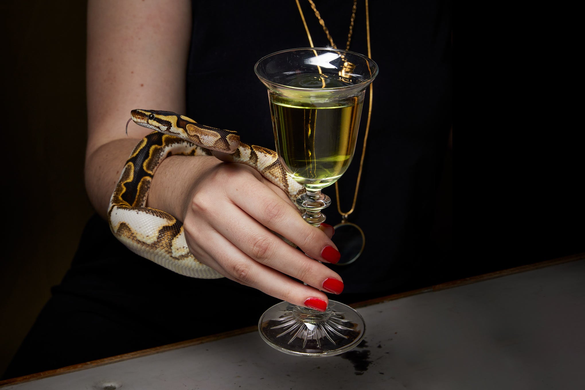 Hand, wrapped in a yellow, black and brown snake, holds a bell shaped glass with green chartreuse. 