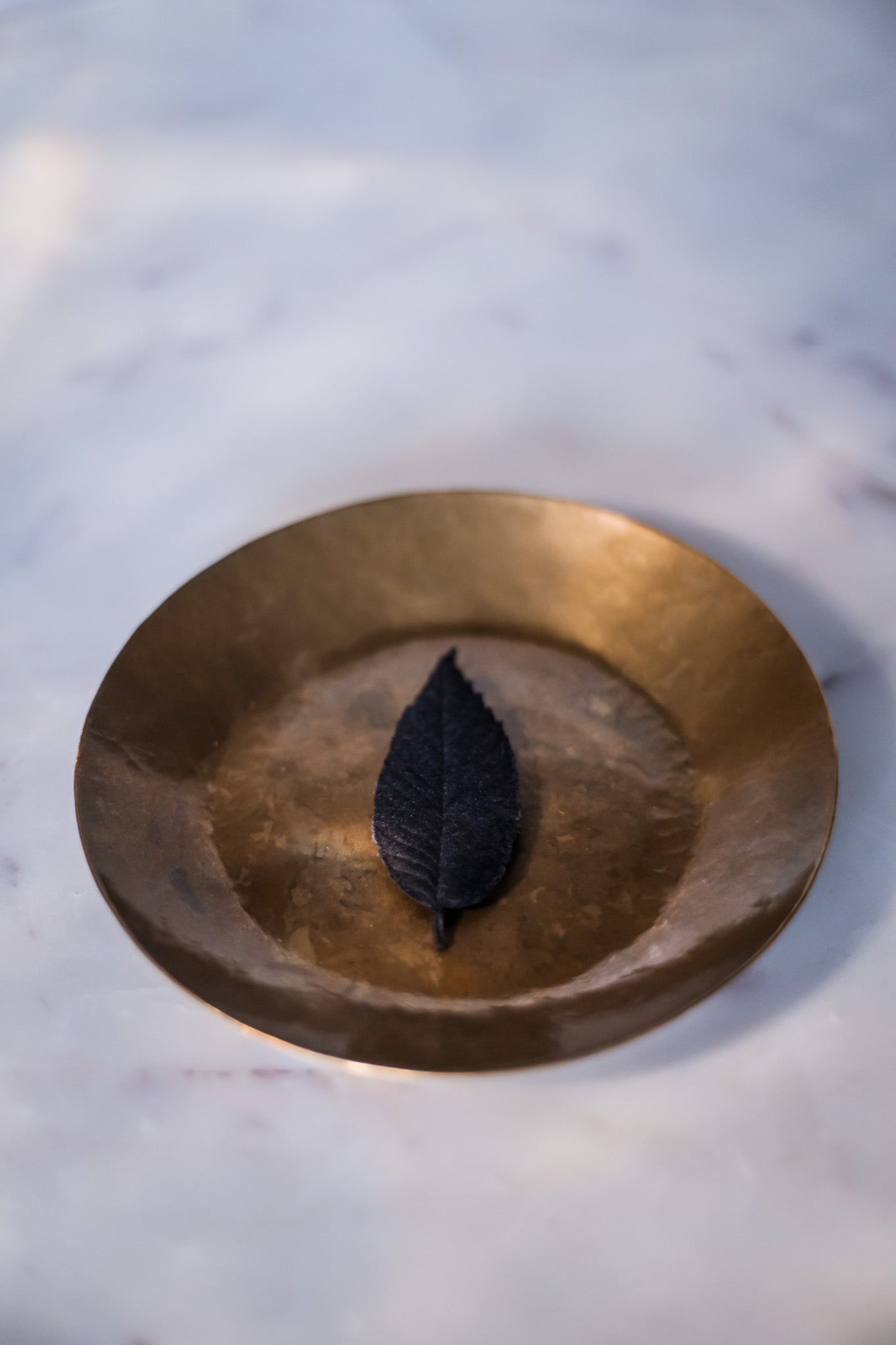 Leaf on brass plate