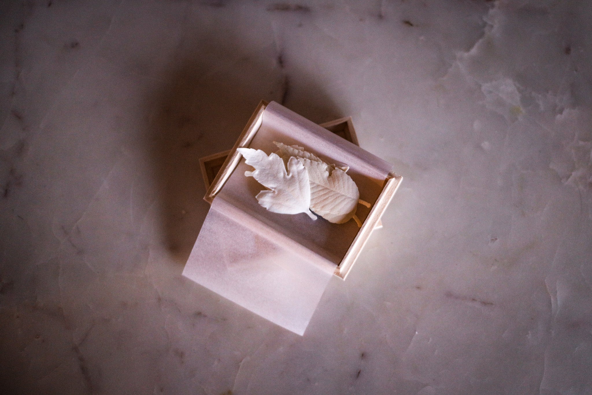 Three white leaves inside of a small box on a marble table 